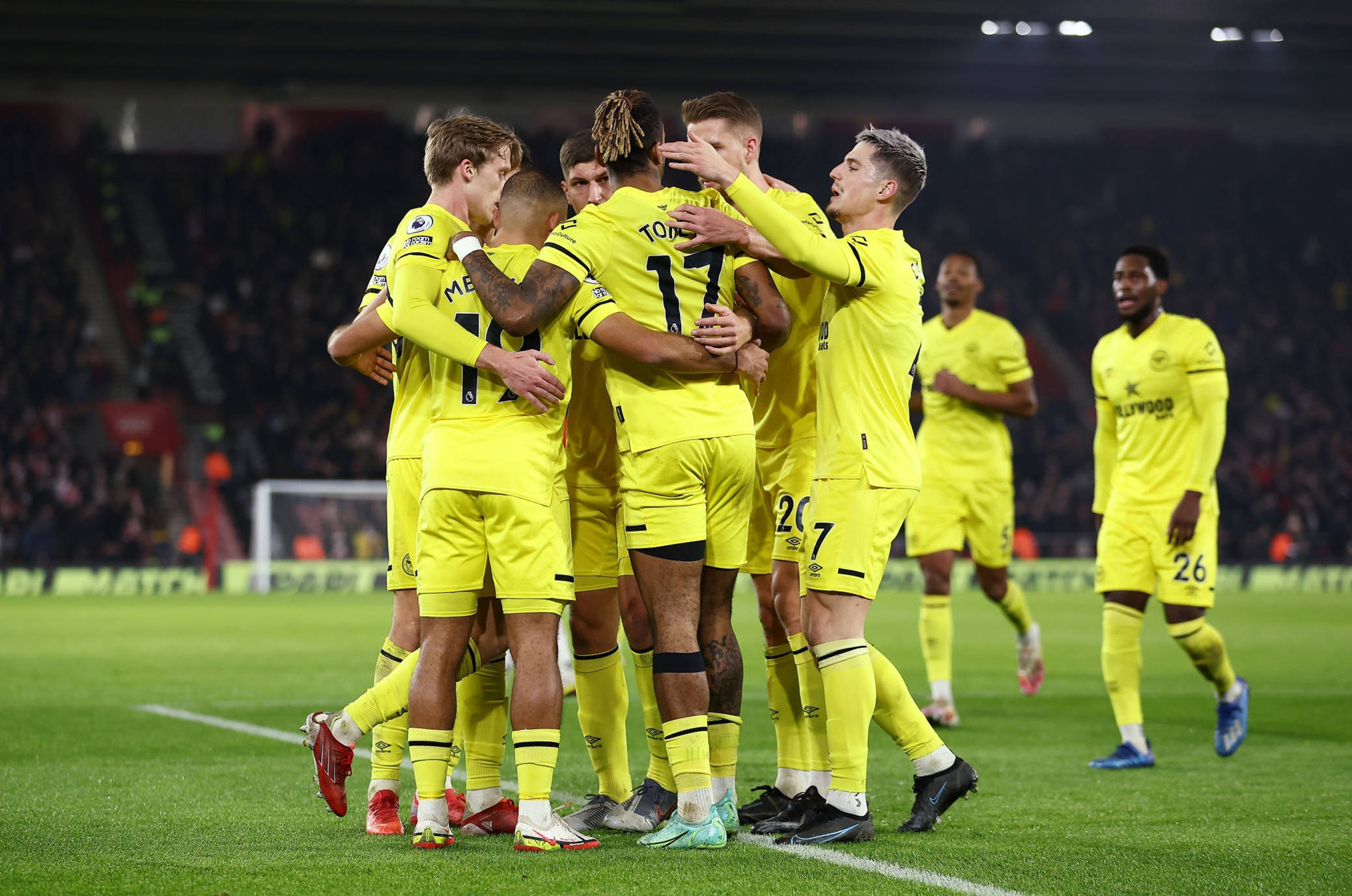 我们不难看 我们不难看